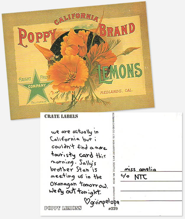 Grumpelope Postcard 1