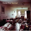Forest Fire
